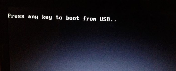 Press any key to boot from DVD or USB