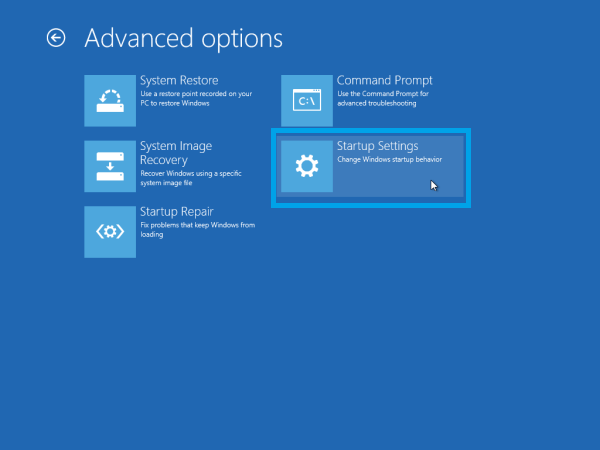 Advanced Options Windows 10