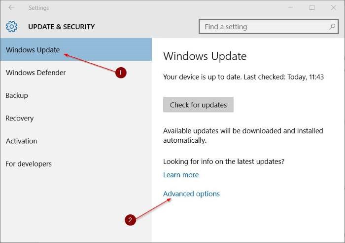 Windows Update Advanced Options