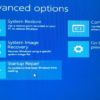 Membuka Startup Options Saat Windows Tidak Dapat Booting