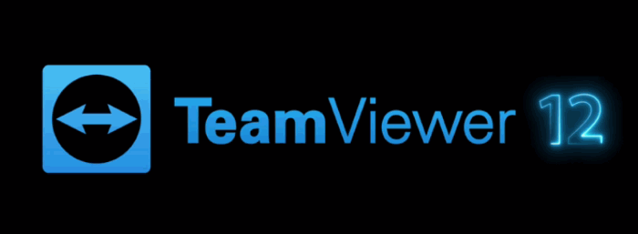 TeamViewer 12