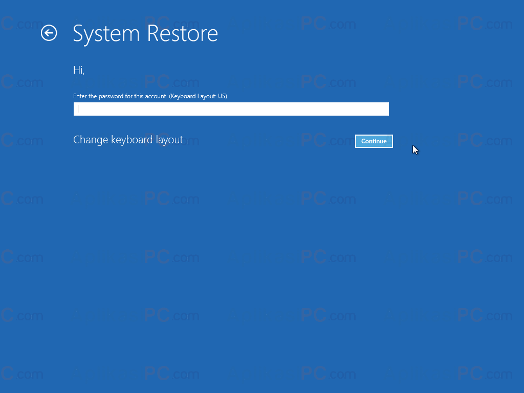 Password System Restore