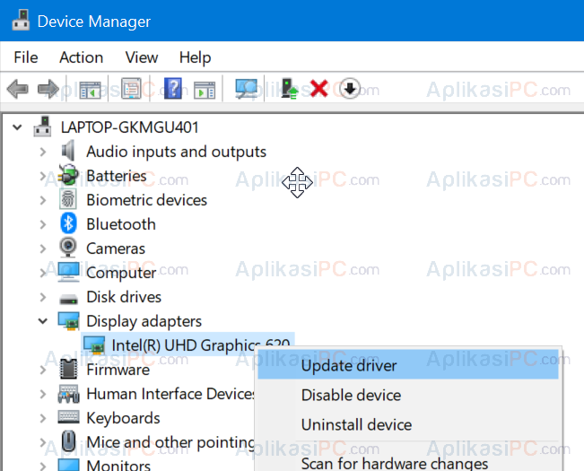 Device Manager - Display Adapters - Update driver