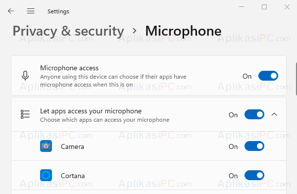Settings - Privacy & Security - Microphone