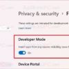 Cara Mengaktifkan Developer Mode di Windows 11