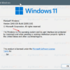 4 Cara Melihat Edisi dan Versi Build Windows 11