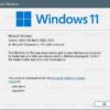 2 Cara Mudah Instal Update Windows 11 22H2 Terbaru